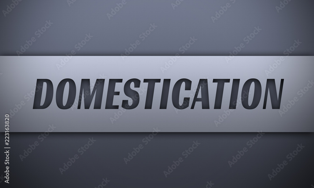 domestication - word on silver background domestication - word on silver background