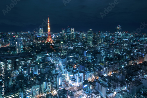 Tokyo Skycreaper