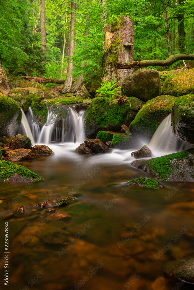Harz Harz