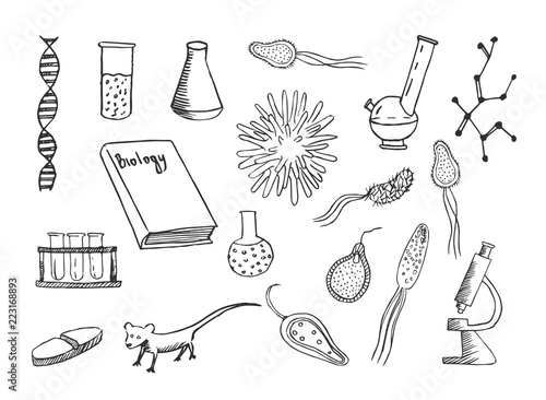 Biology vector doodle sketch. Hand drawn illustrations isolated on white background