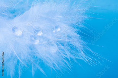 Drops of water on a white feather against a blue background (as an abstract fairy-like background), shallow DOF, selective focus on the drops of waters, copy space on the right for your text