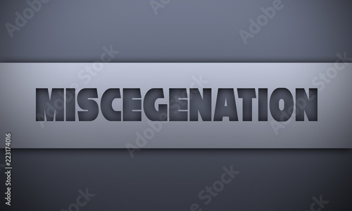 miscegenation - word on silver background photo