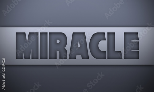 Quadro su tela miracle - word on silver background