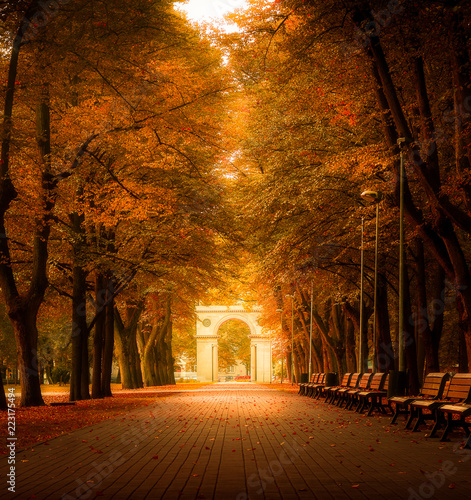 autumn alley