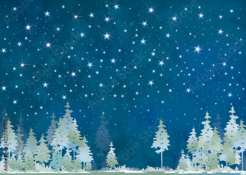 Vector winter night starry sky and  forest background.