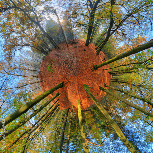 Beautiful 360 degree panorama spherical little planet of a vibrant sunrise in the forest in autumn in the Netherlands with a blue sky and colorful leafs