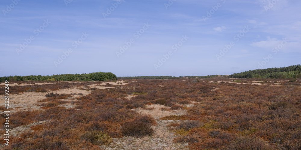 Laesoe / Denmark: View over the parched heathland between Holtemmen and Laesoe Klitplantage after three month without any rain in summer 2018