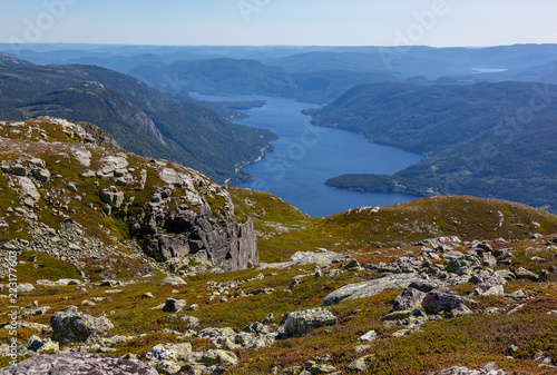 Aerial view on the vastness Norwegian landscape with picturesque fjord with steep slopes covered with coniferous forest, Telemark region, Norway