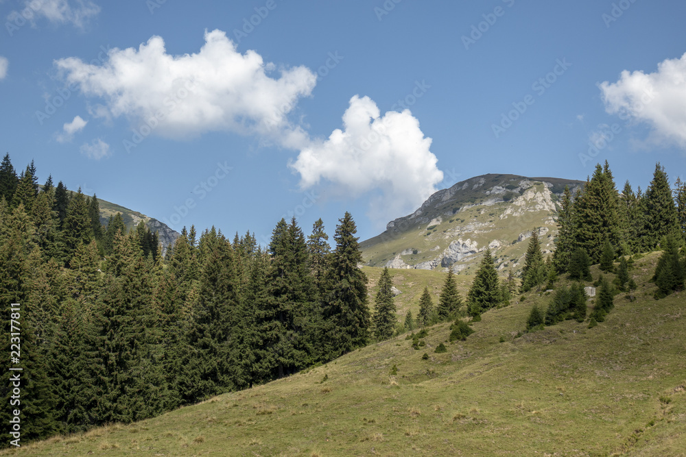View from Bucegi mountains,  Romania,  Bucegi National Park