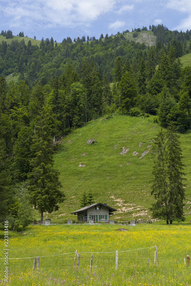 An upright mountain landcsape, with a small, wooden house, surrounded by flowery fields, in the foreground and hills and a forest in the background