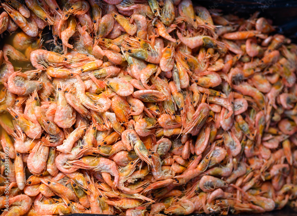 Frozen shrimp in package. Selective focus.