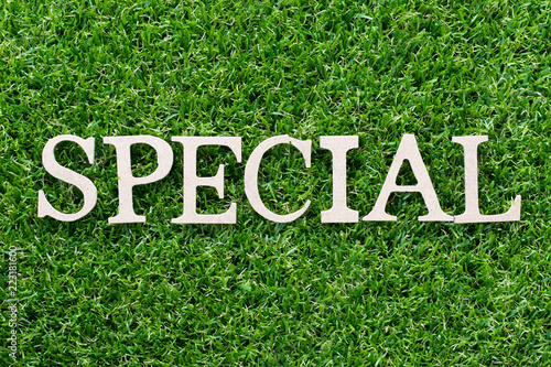 Wood alphabet in word special on artificial green grass background
