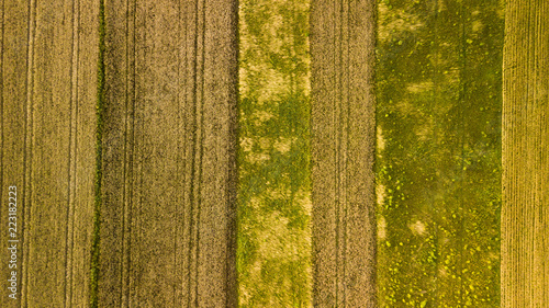 Southern Poland arable fields