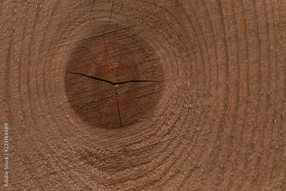 Naklejka premium close up of bough on dark brown wooden board