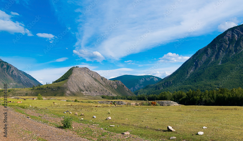 Landscape view of the Altai Mountains, road among the mountains, Russia