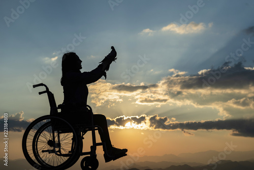 dove, disabled lady and the power of love © emerald_media