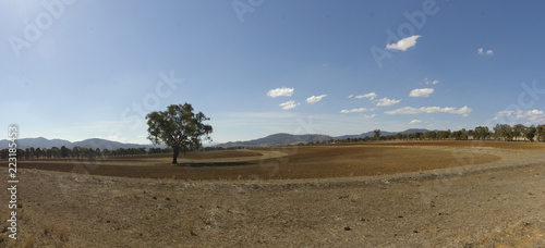panoramic view of dry, dusty, drought stricken barren farmland with a single lone tree in the field, rural New South Wales, Australia