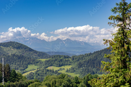 Fototapeta Naklejka Na Ścianę i Meble -  Beautiful Pieniny, view from Palenica