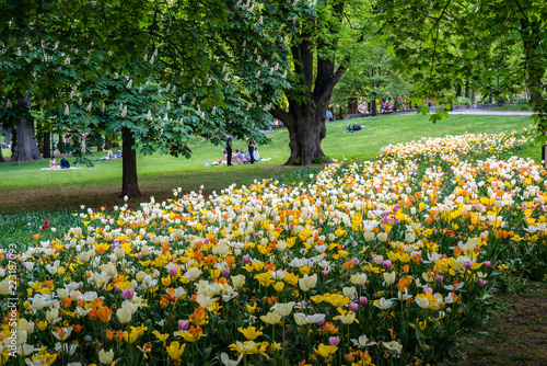 Canvas Print People eating pic-nic in a park with tulips in the summer of stockholm