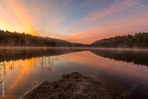 Purple sunrise over lake in forest