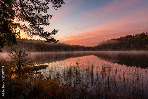 Purple sunrise over lake in forest