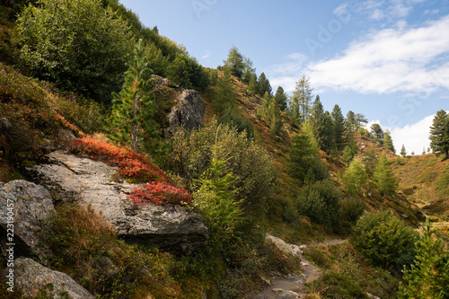 Obraz na płótnie herbstliche Wanderung in den Tiroler Bergen w salonie