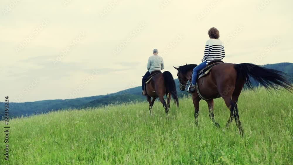 A rear view of senior couple riding horses in nature. A rear view of senior couple riding horses in nature.