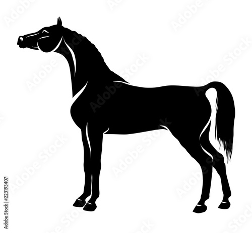 A silhouette of the arabian horse.