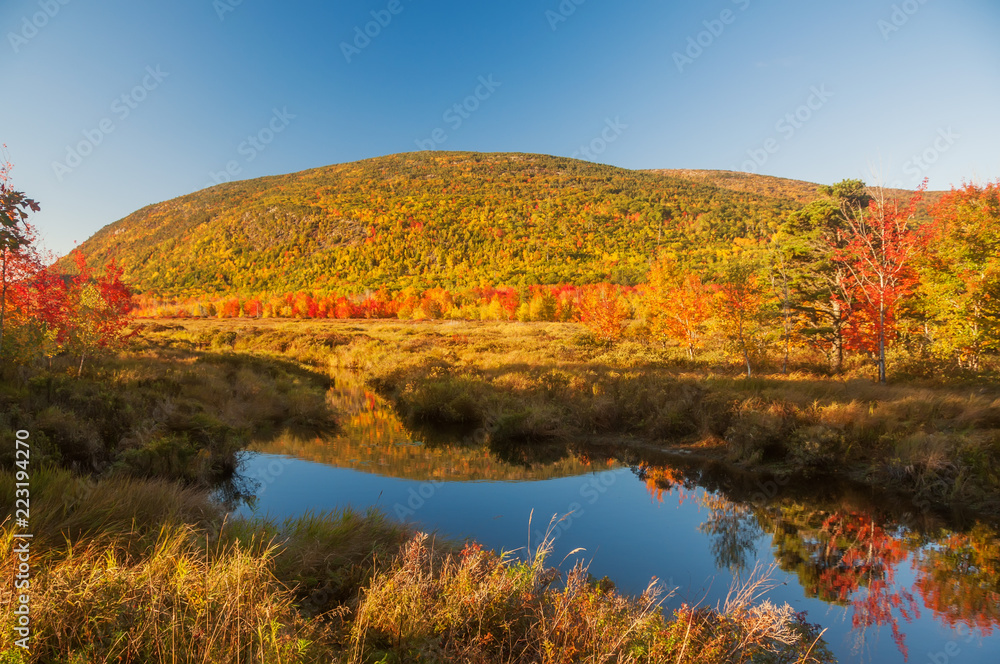 A lake among the hills with bright colorful autumn trees. Sunny day. Acadia National Park. USA. Maine.
A lake among the hills with bright colorful autumn trees. Sunny day. Acadia National Park. USA. Maine.