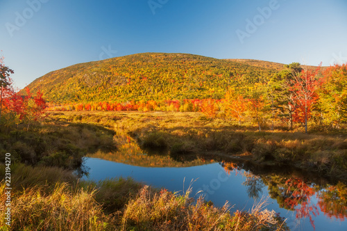 A lake among the hills with bright colorful autumn trees. Sunny day. Acadia National Park. USA. Maine. 