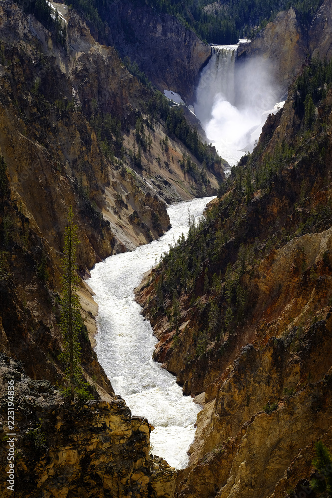 Lower Yellowstone Waterfall Falls in Canyon National Park