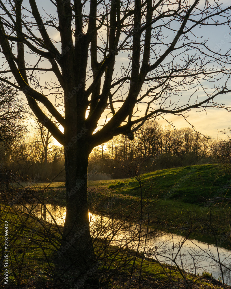 Sunset in a Park in Amsterdam on a cold winter day Sunset in a Park in Amsterdam on a cold winter day