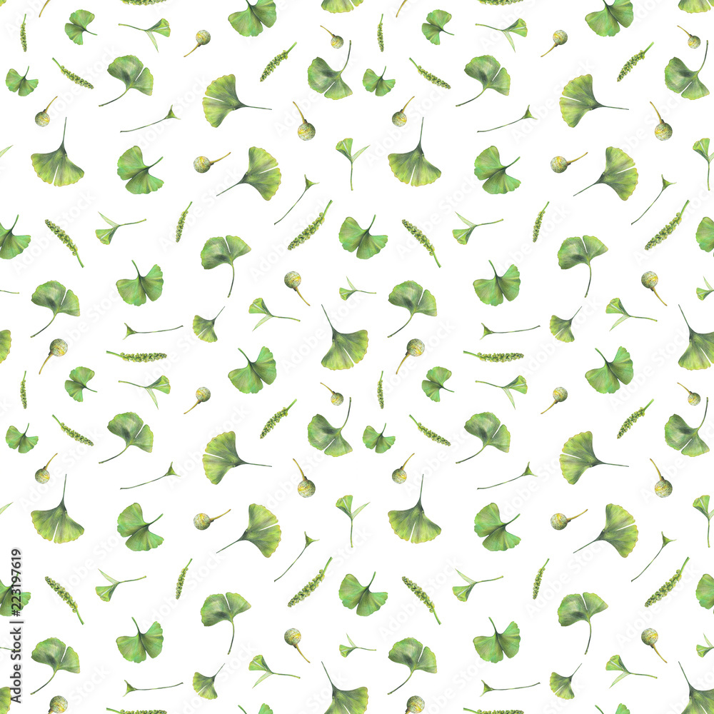 Seamless pattern with green leaves of ginkgo biloba. Hand drawn illustration with colored pencils. Botanical natural design for textiles, interior or some background.