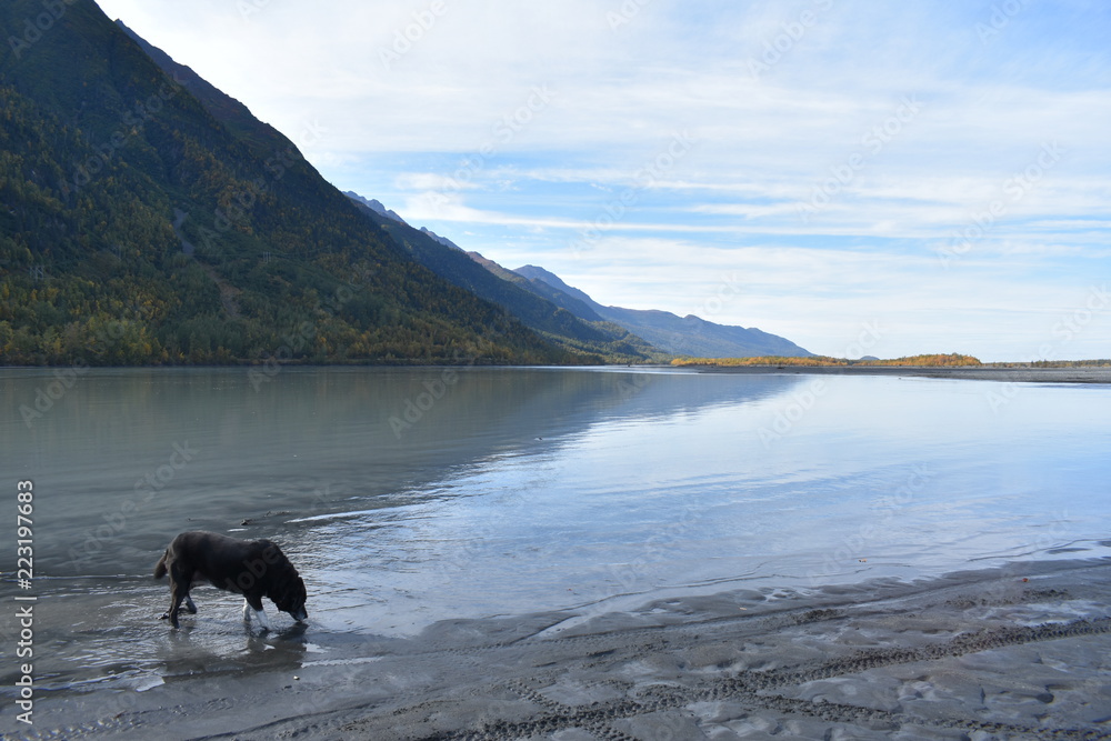 Knik River, Alaska Knik River, Alaska