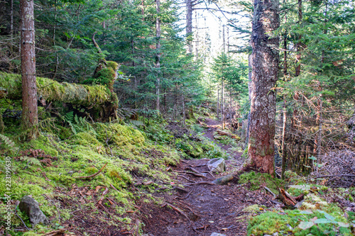 Number Four Mountain Trail