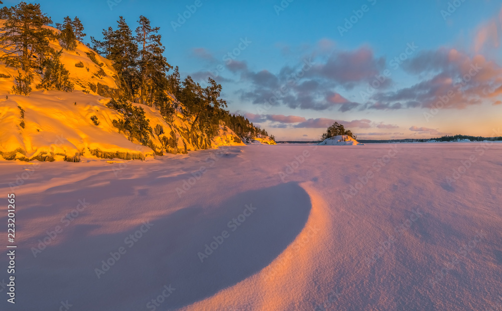 A colorful winter sunset on the Ladoga Lake. Pink light on the pines, on the snow.