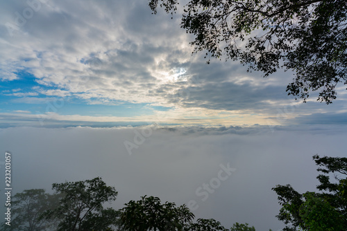 Fototapeta Naklejka Na Ścianę i Meble -  Beautiful nature landscape of rising sun in the early morning over sea of mist.
Fiery orange sunrise sky. Beautiful sky with clouds behind a tree branches.
