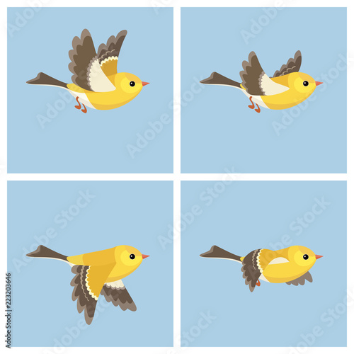 Flying American Goldfinch (female) animation sprite sheet