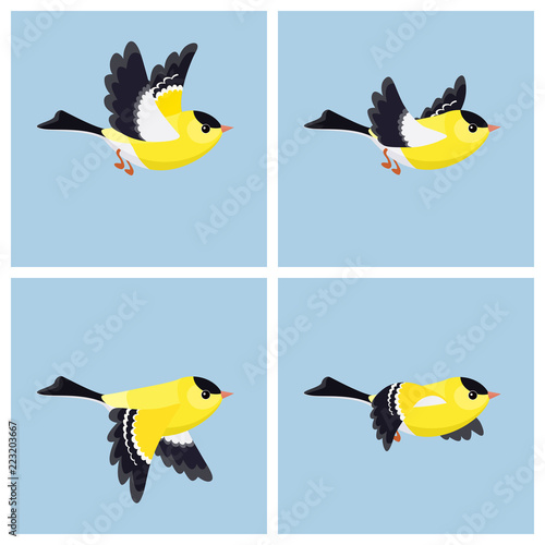 Flying American Goldfinch (male) animation sprite sheet