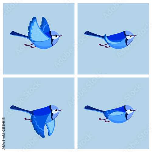 Flying Splendid Fairy Wren (male) animation sprite sheet