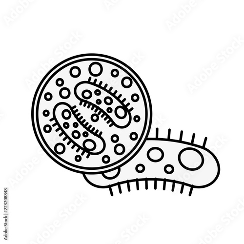 virology germ bacteria petri dish science