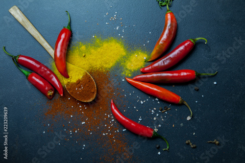 Chile rojo picante y especias de colores sobre un fondo oscuro