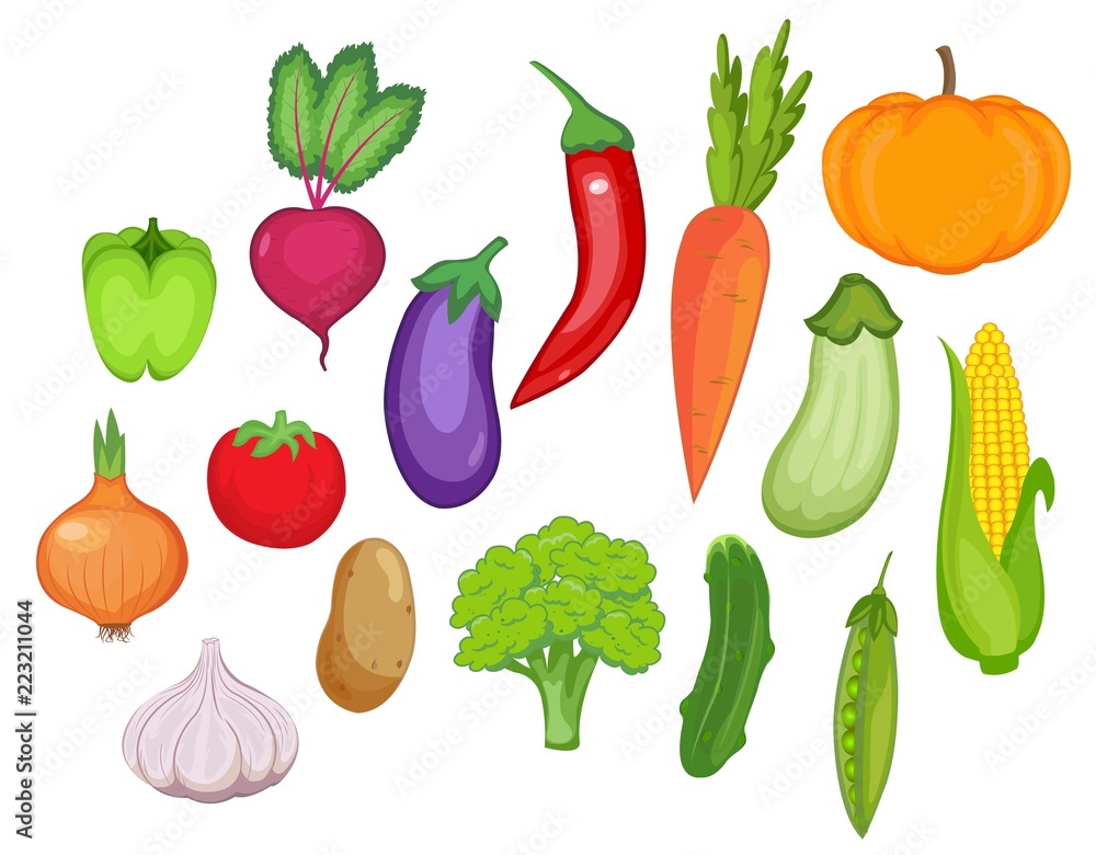 vegetable set. vector illustration vegetable set. vector illustration