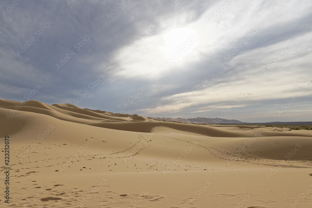 Mongolia, Gobi desert - traces of camels on the sand.