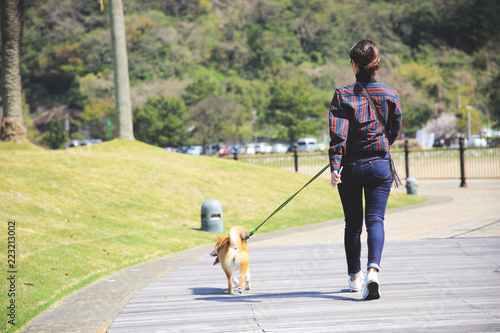 Fototapeta Naklejka Na Ścianę i Meble -  犬と散歩