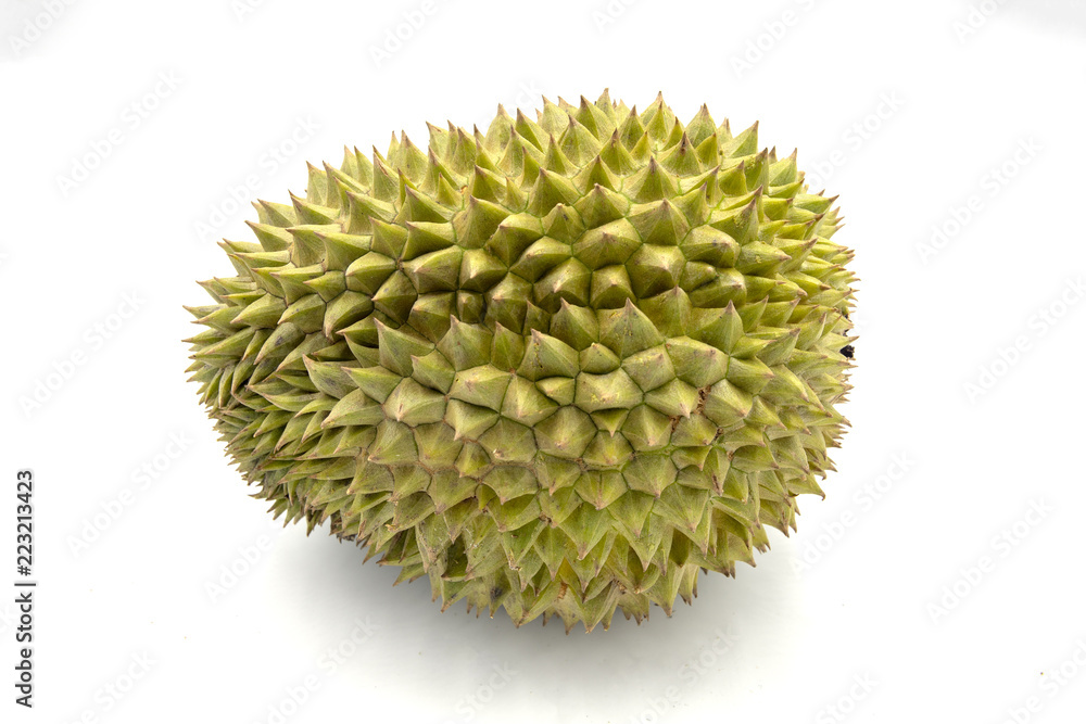 Whole tropical fruit durian on white background. Tasty fruit with awfull smell. Exotic fruit durian studio photo. Whole tropical fruit durian on white background. Tasty fruit with awfull smell. Exotic fruit durian studio photo.