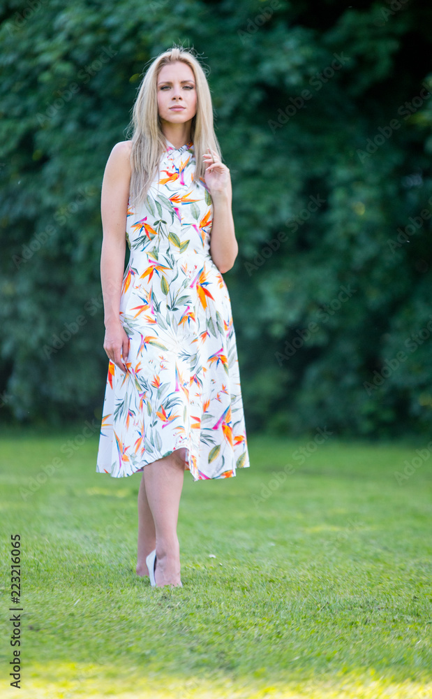 Beautiful young girl in a dress walking in the summer Park Beautiful young girl in a dress walking in the summer Park
