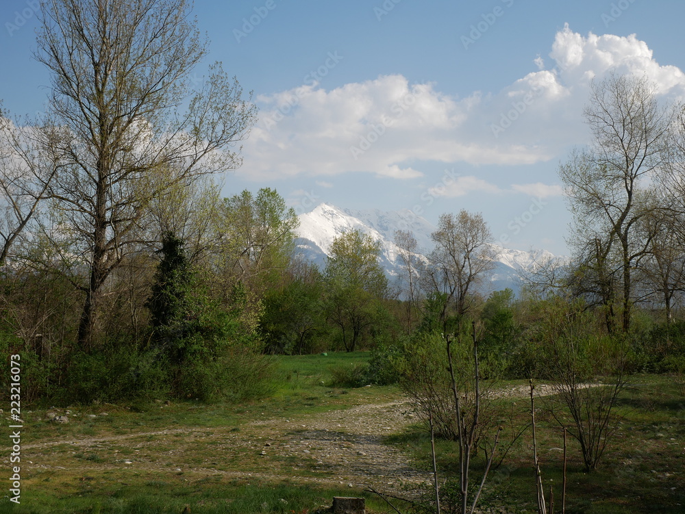 Obraz premium MONTE BISALTA CUNEO _ITALY