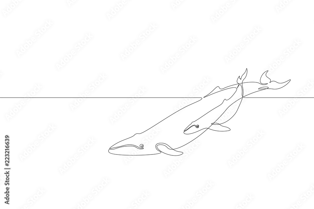 Fototapeta premium Pojedyncza linia ciągła sylwetka dziecka rodzica morskiego wieloryba Natura ocean ekologia koncepcja środowiska życia. Wielka opowieść zwierzęca fala morska projekt jeden szkic szkic, rysunek wektor ilustracja