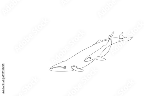 Slika na platnu Single continuous line art marine whale parent baby silhouette